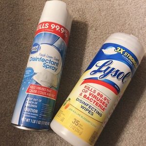 Disinfectant spray + wipe bundle!